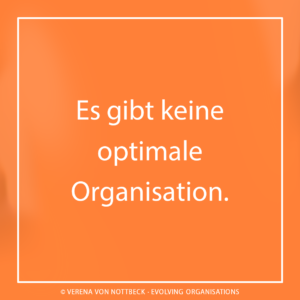 Es gibt keine optimale Organisation.
